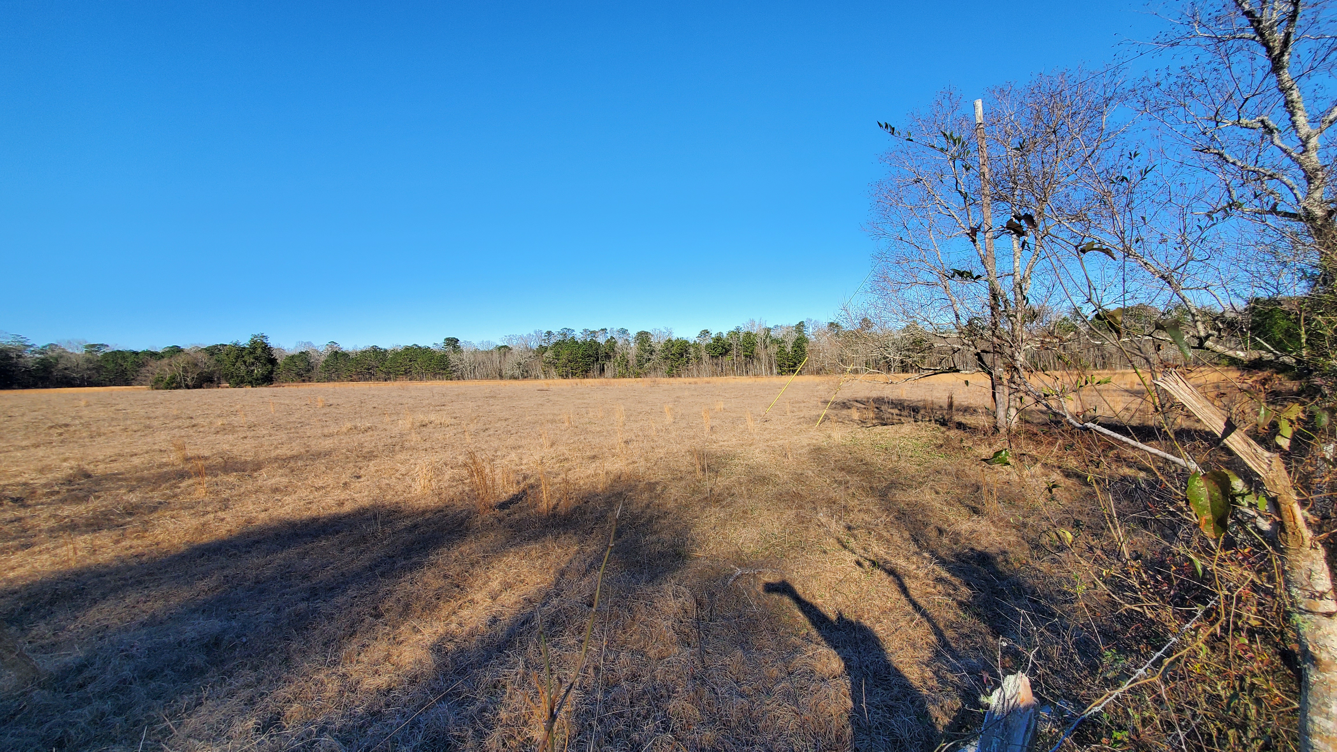 Photo of Land